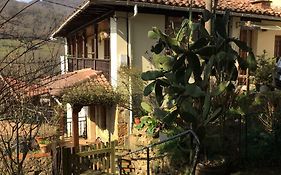 Los Pinos De Cardes